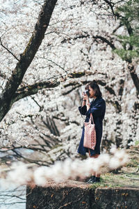 Woman clicking photos while standing against cherry blossom trees