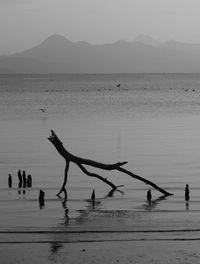 People on beach against sky