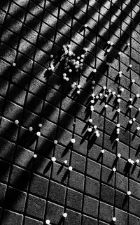 High angle view of people standing on street