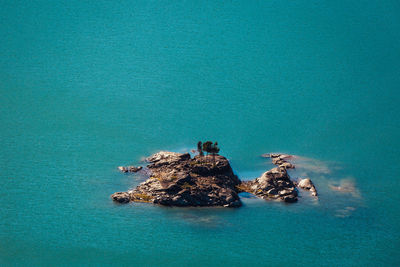 High angle view of rock in sea