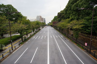 Road by trees in city