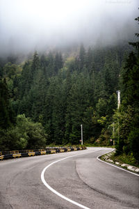 Empty road amidst trees