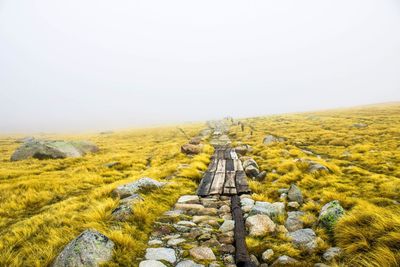 Scenic view of landscape against clear sky