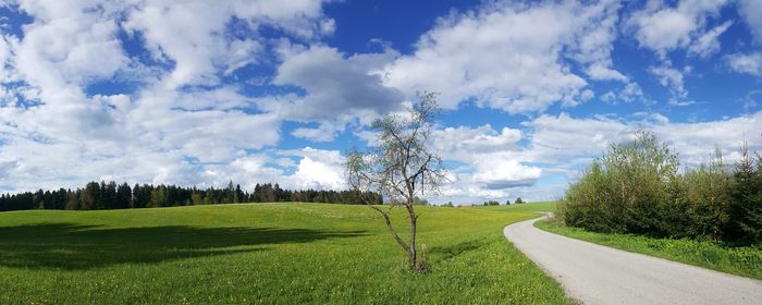 Scenic view of green landscape against sky