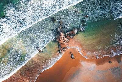 High angle view of people on rock at beach