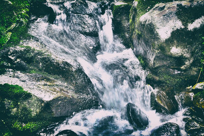 Scenic view of waterfall in forest