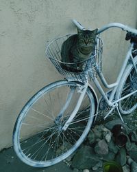 Close-up of bicycle