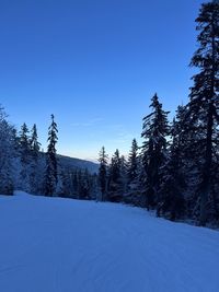 snow