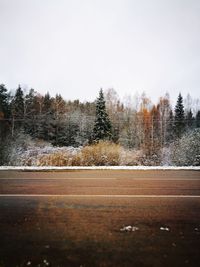 View of snow covered road in forest