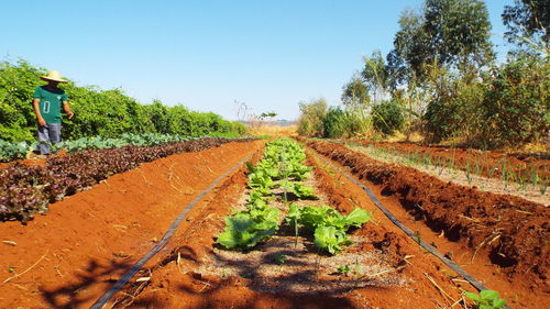 Scenic view of land against clear sky