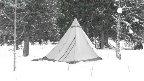 Clothes hanging on snow covered tree