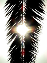 Low angle view of palm trees against sky