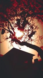 Low angle view of trees against sky at sunset