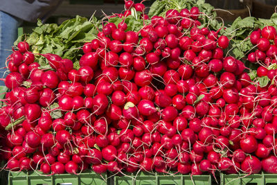 Red berries for sale at market stall