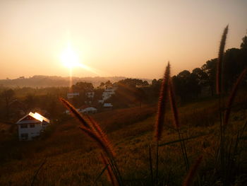 Scenic view of field against sky during sunset