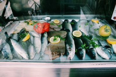 High angle view of fish in display cabinet