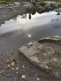 High angle view of ducks on rock by lake