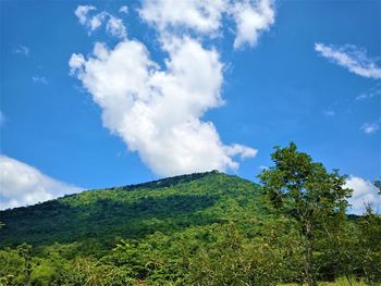 Low angle view of mountain against blue sky
