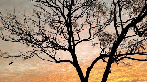 Low angle view of bare trees against sky at sunset