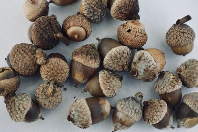 Close-up of fruits on table