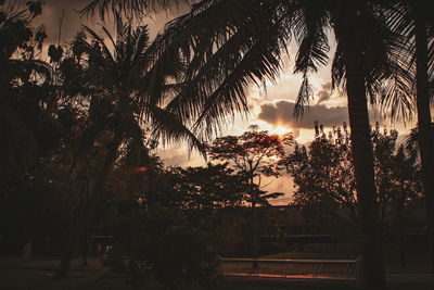 Silhouette palm trees against sky during sunset