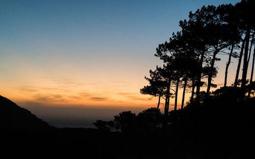 Low angle view of silhouette trees against sky at sunset