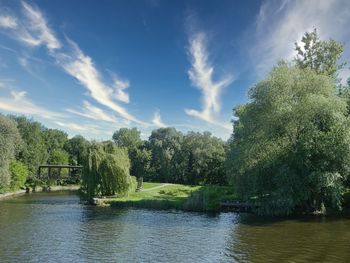 Trees by river against sky