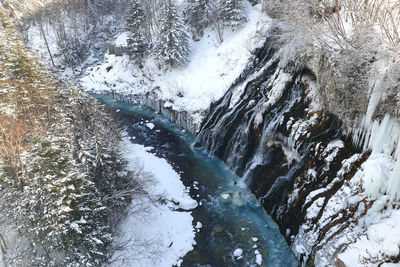 Frozen stream in forest during winter