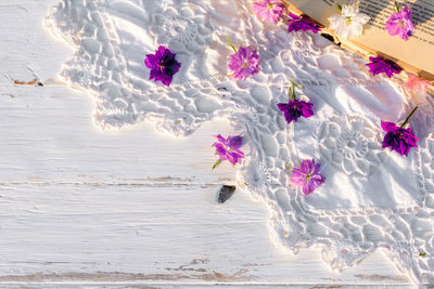 Pink flowering plant on sand at beach