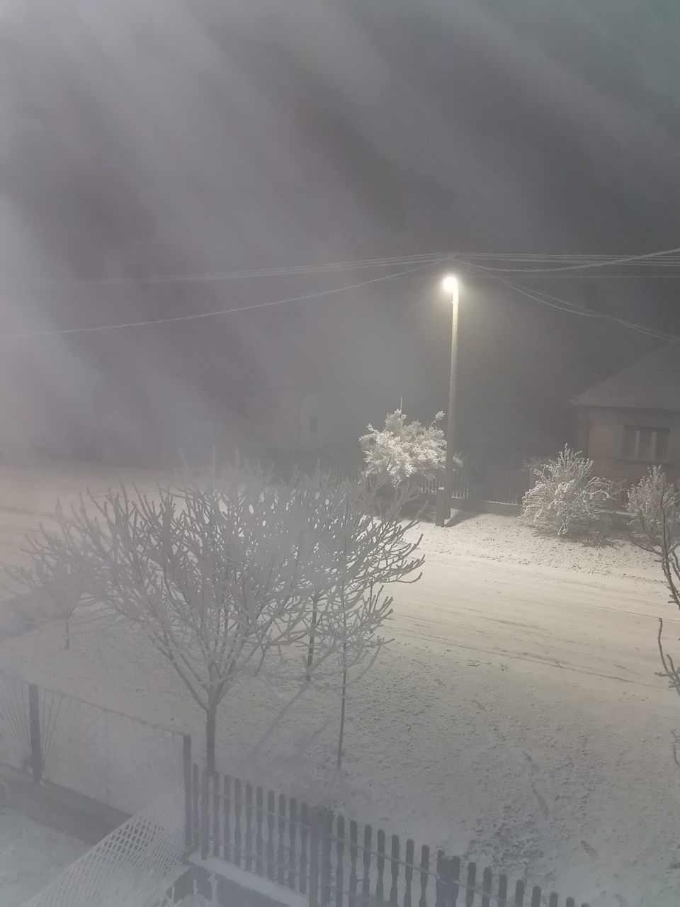 SNOW COVERED PLANTS AND FENCE AGAINST SKY