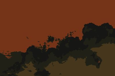 Close-up of silhouette tree against sky during sunset