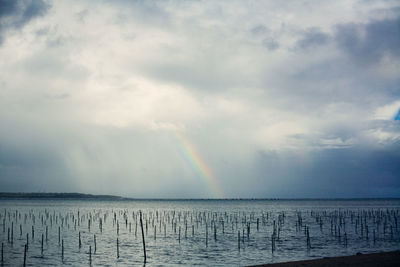 Scenic view of rainbow over sea