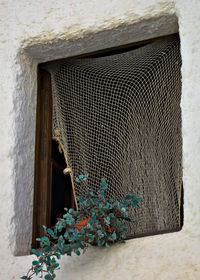Close-up of wall