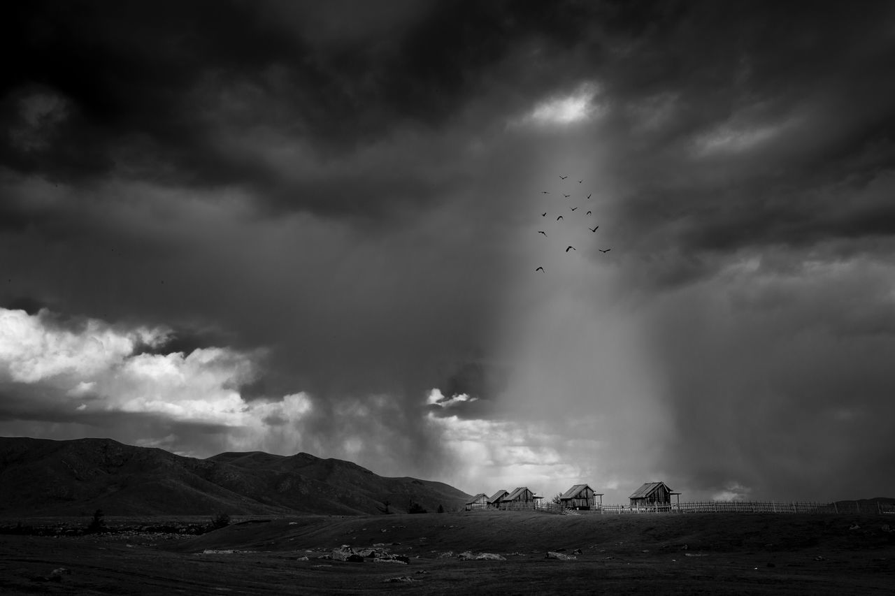 BIRDS FLYING AGAINST STORM CLOUDS