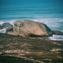 Scenic view of sea