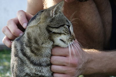 Holding little cat 