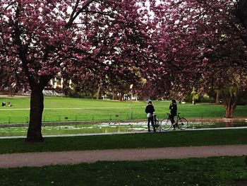 People walking on grassy field in park