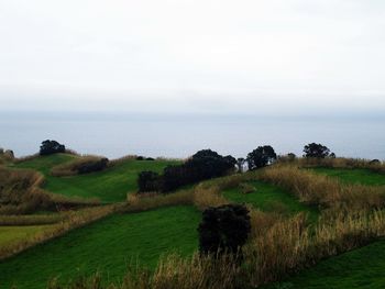 Scenic view of grassy field against cloudy sky