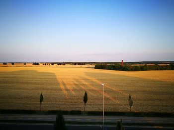 Scenic view of field against clear sky