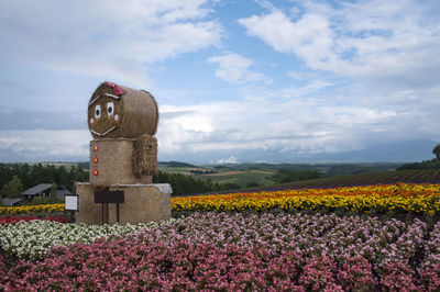 Colorful flower garden in biei, hokkaido japan