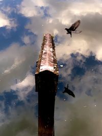 Low angle view of helicopter flying in sky