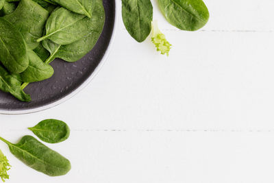High angle view of vegetables on white background