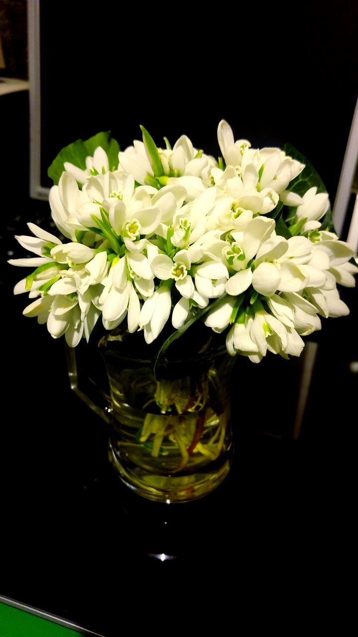 CLOSE-UP OF FLOWERS AND LEAVES IN GLASS