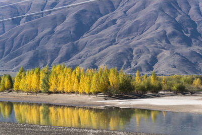 Scenic view of lake against mountain