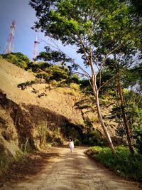 Rear view of people walking on road amidst trees
