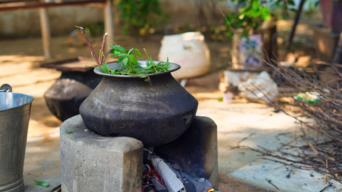 Green neem leaves known as azadirachta indica boiled in water on chulha. boiling neem, nimtree