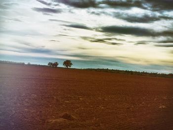 Scenic view of landscape against cloudy sky