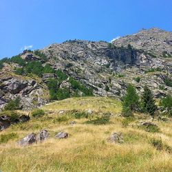 Scenic view of landscape against clear sky