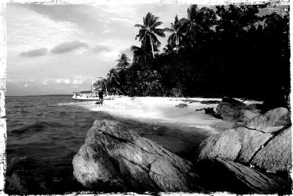 water, sea, transfer print, rock - object, sky, auto post production filter, beauty in nature, scenics, beach, tranquil scene, horizon over water, nature, rock formation, tree, tranquility, shore, rock, coastline, wave, cloud - sky