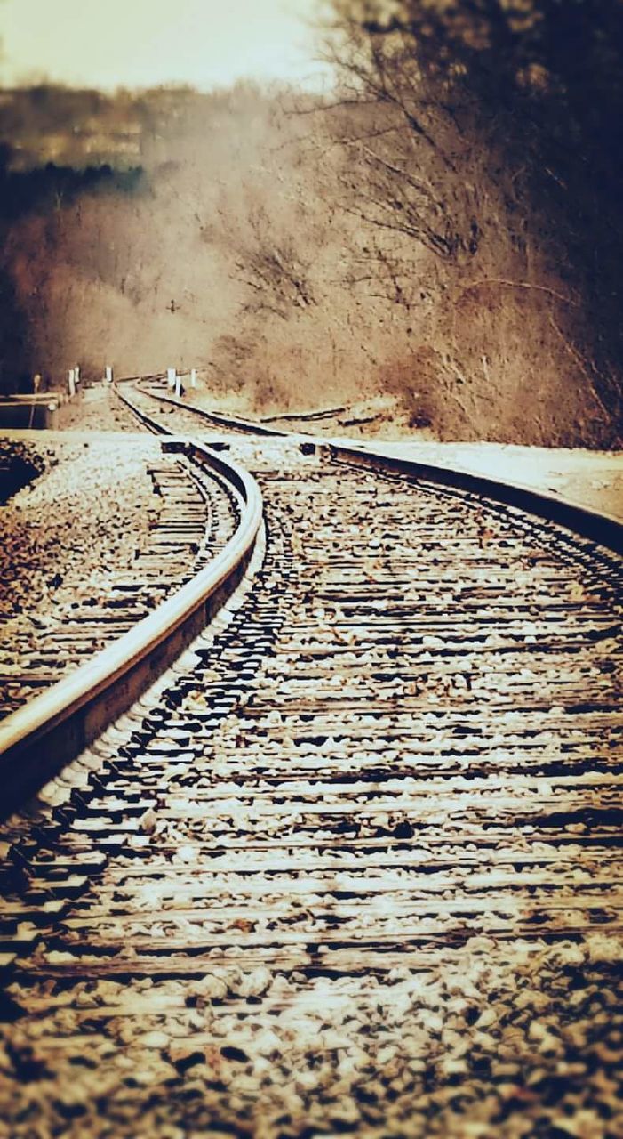 RAILROAD TRACKS AMIDST TREES